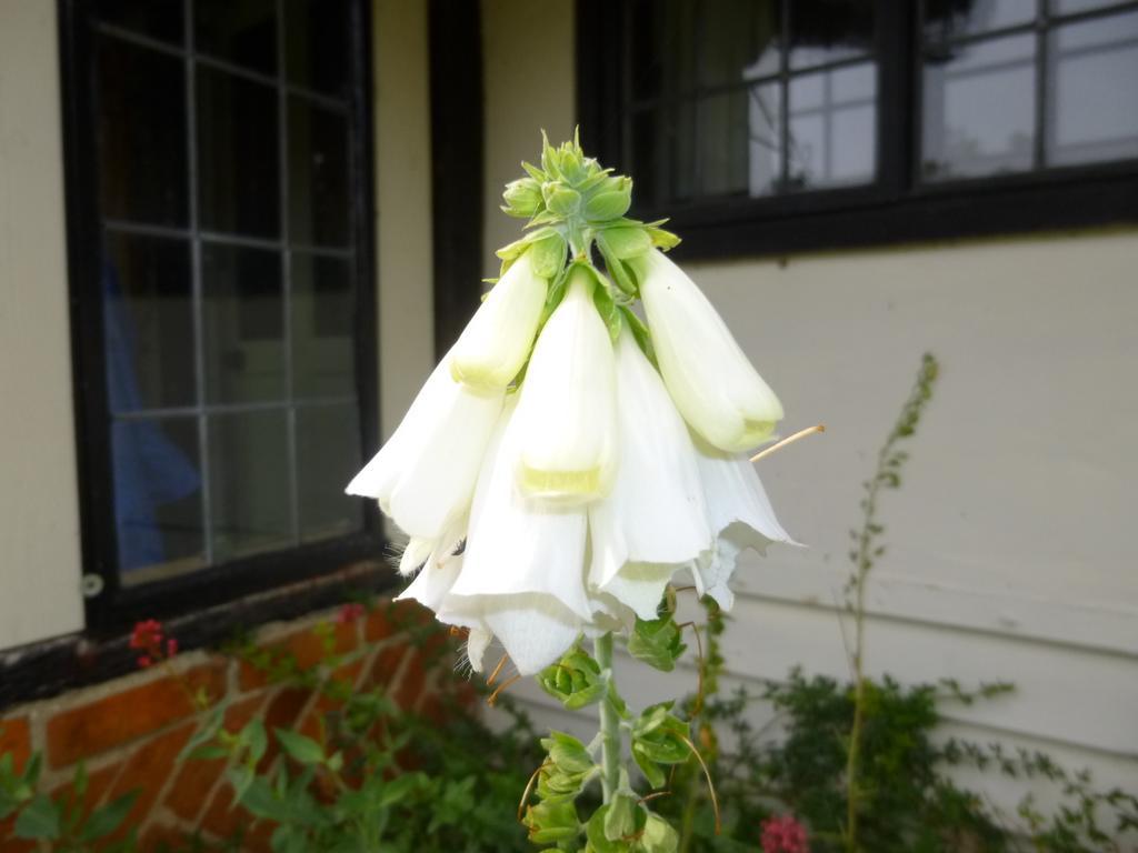 Church Hall Farm Bed And Breakfast Broxted Camera foto